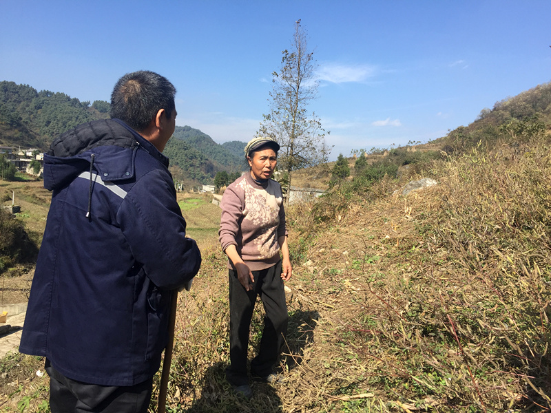 1512113343132982.jpg 1512113343132982.jpg